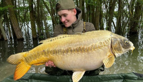 A 28 lb 6 oz carp from Fullys Lake, May 2024