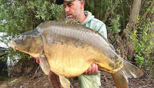 A carp from Fullys Lake, May 2025