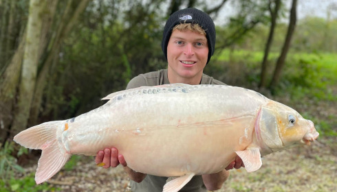 A carp from Fullys Lake, Oct 2024