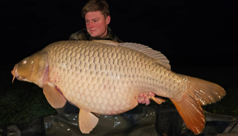 A 52 lb carp from Fullys Lake, Dec 2023