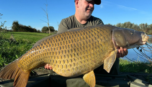 A carp from Fullys Lake, Oct 2024