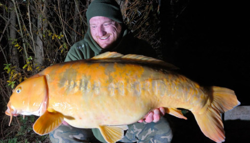 A carp from Fullys Lake, Nov 2023