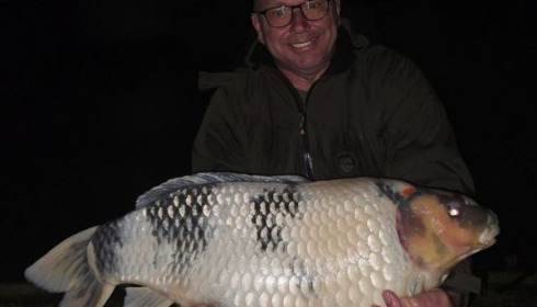 A carp from Fullys Lake, Nov 2024