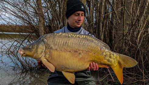A carp from Fullys Lake, Feb 2024