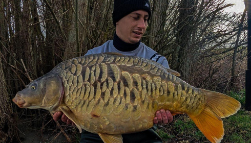 A carp from Fullys Lake, Feb 2024