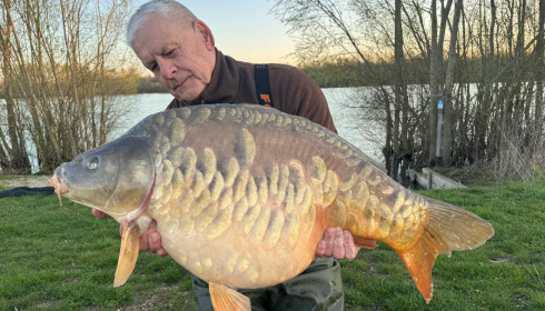 A carp from Fullys Lake, Apr 2025