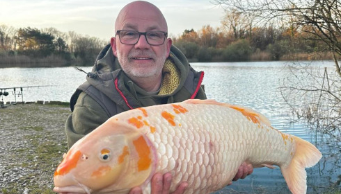 A carp from Golden Carp Lake, Apr 2024