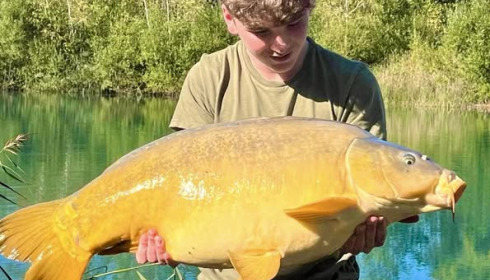 A carp from Golden Carp Lake, Sep 2024