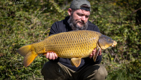A carp from Golden Carp Lake, Apr 2024