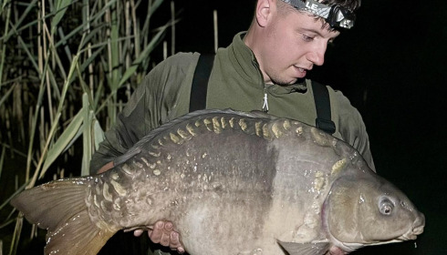 A carp from Golden Carp Lake, Aug 2024