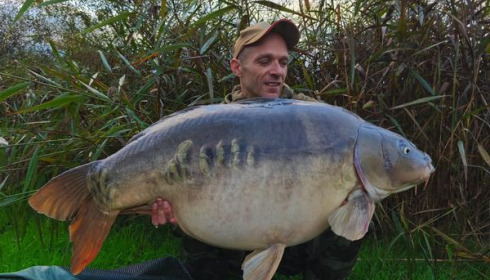 A carp from Golden Carp Lake, Oct 2024