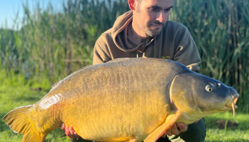 A 44 lb carp from Golden Carp Lake, Jun 2024