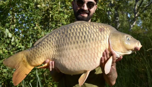 A carp from Golden Carp Lake, Aug 2024