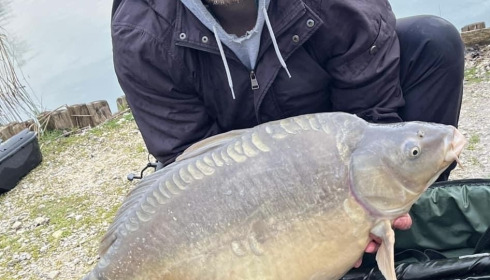 A 33 lb 6 oz carp from Golden Carp Lake, Gavin Bamford, Feb 2024