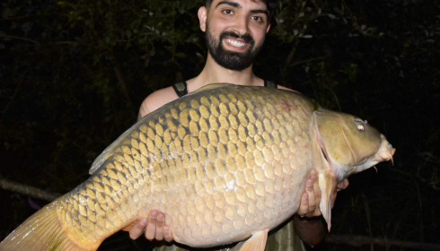 A carp from Golden Carp Lake, Aug 2024