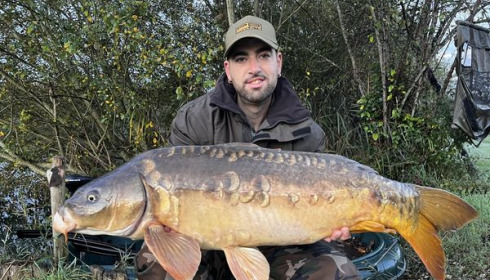 A carp from Golden Carp Lake, Oct 2024