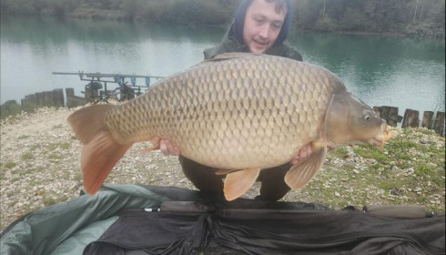 A carp from Golden Carp Lake, Oct 2025