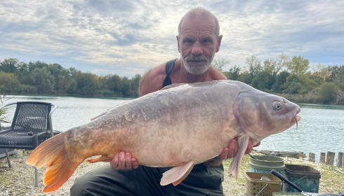 A carp from Golden Carp Lake, Oct 2025