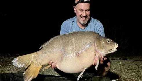 A carp from Golden Carp Lake, Sep 2025
