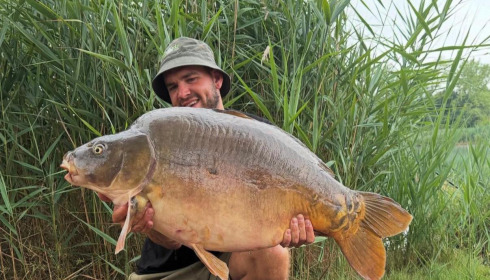 A carp from Golden Carp Lake, Jul 2025