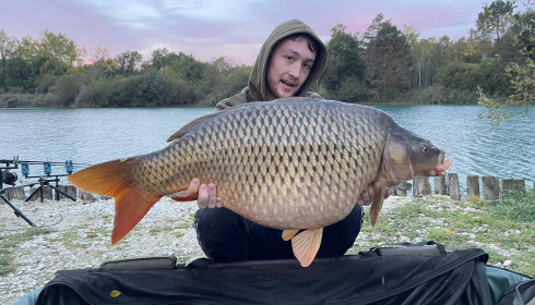 A carp from Golden Carp Lake, Oct 2025