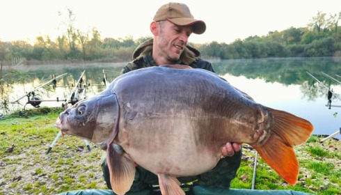A carp from Golden Carp Lake, Oct 2024
