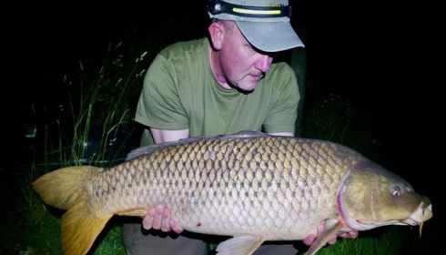 A carp from Golden Carp Lake, Jun 2024