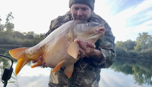 A carp from Golden Carp Lake, Nov 2024