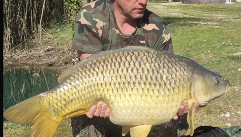 A 30 lb fish from Golden Carp Lake, Apr 2025