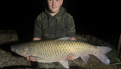 A grass carp from Golden Carp Lake, Kye Steers, Aug 2025
