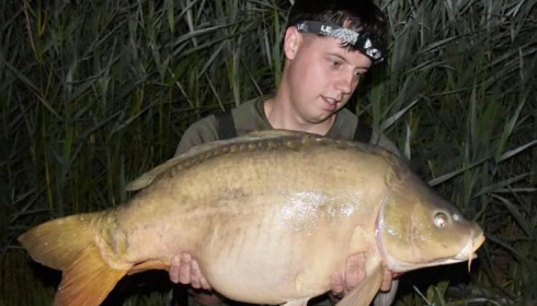 A carp from Golden Carp Lake, Aug 2024
