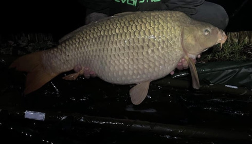 A 30 lb carp from Golden Carp Lake, Gavin Bamford, Feb 2024