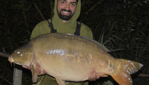 A 45 lb 4 oz fish from Golden Carp Lake, 45lb mirror, Aug 2024