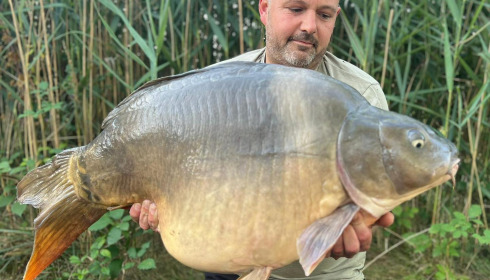 A carp from Golden Carp Lake, Aug 2025
