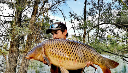 A carp from Grandes Cimes, Jan 2022