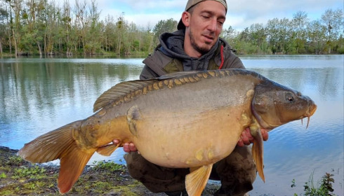 A carp from Grandes Cimes, Jan 2022