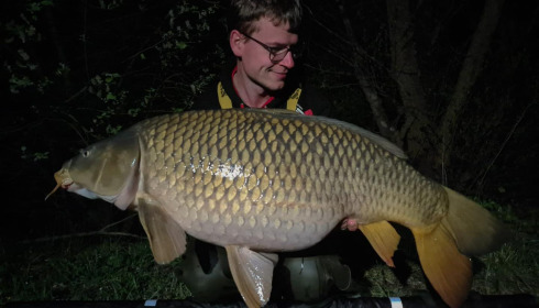 A carp from Grandes Cimes, Jan 2024