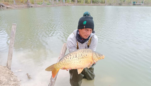 A carp from Grandes Cimes, New Stock, Jan 2022