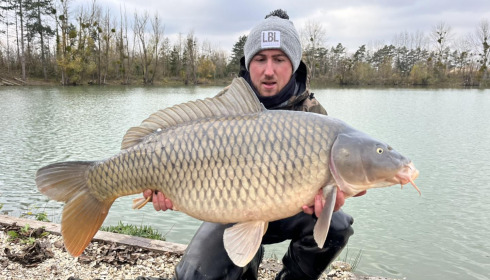 A carp from Grandes Cimes, New Stock, Nov 2023