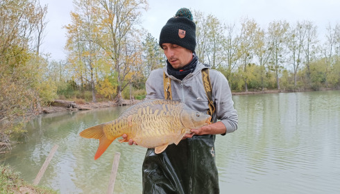 A carp from Grandes Cimes, New Stock, Jan 2022