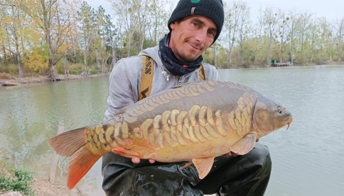 A carp from Grandes Cimes, New Stock, Jan 2022