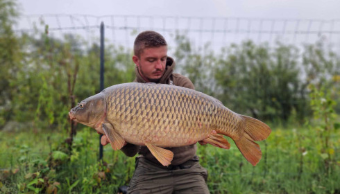 A carp from Grandes Cimes, Sep 2024