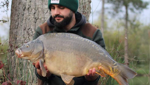 A carp from Grandes Cimes, Oct 2024
