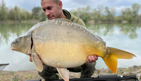 A carp from Grandes Cimes, Jan 2022