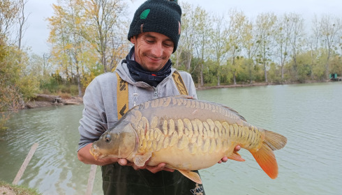 A carp from Grandes Cimes, New Stock, Jan 2022