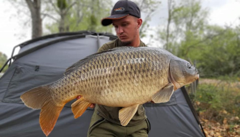 A carp from Grandes Cimes, Jan 2022