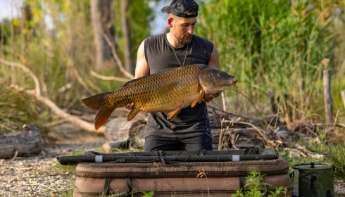 A carp from Grandes Cimes, Jun 2025