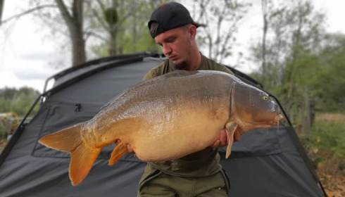 A carp from Grandes Cimes, Jan 2022