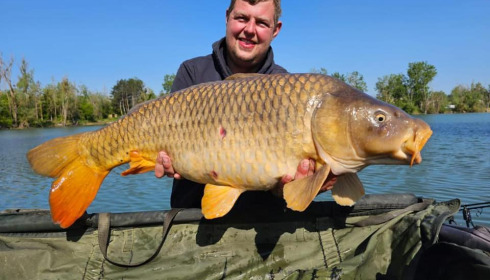 A carp from Grandes Cimes, Jan 2023