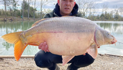 A carp from Grandes Cimes, Jan 2023